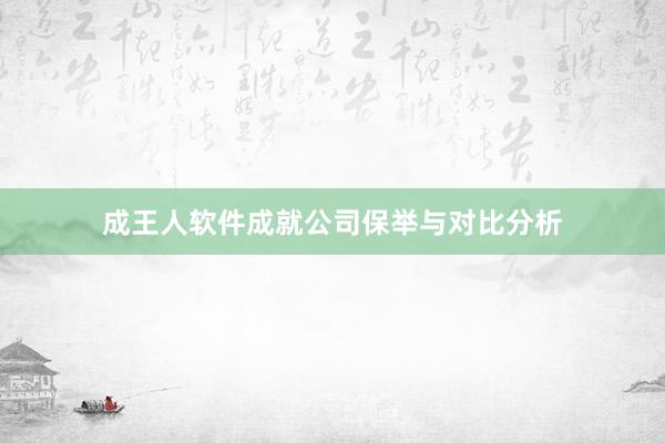 成王人软件成就公司保举与对比分析