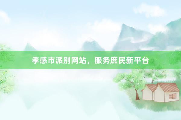 孝感市派别网站，服务庶民新平台