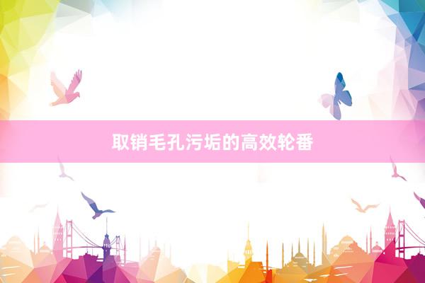 取销毛孔污垢的高效轮番